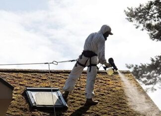Чому важливо чистити дах від моху та лишайників, а також чистити водостічну систему?