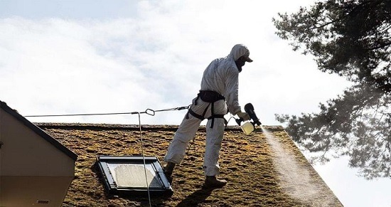 Чому важливо чистити дах від моху та лишайників, а також чистити водостічну систему?