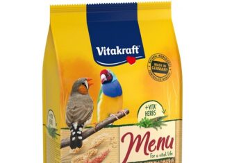 Выбираем корм для декоративной птицы