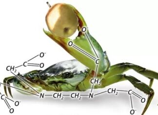Эффективные методы внесения микроудобрений: корневое и листовое питание