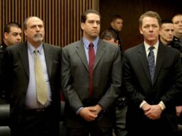 Юридична відповідальність за екологічні правопорушення в Україні: хто несе відповідальність?