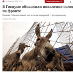 u-putina-priznali-problemy-zastavivshie-armiju-rf-ispolzovat-oslov-na-fronte-300be93.jpg