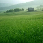 ukrainu-na-vyhodnyh-nakroet-letnee-teplo-krome-odnogo-regiona-gde-holod-ne-hochet-otstupat-9398632.jpg