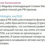 madjar-vystupil-s-pervym-zajavleniem-v-kachestve-komandujushhego-sbs-okkupantam-ono-ne-ponravitsja-55405ed.jpg