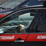 15-smertej-za-3-goda-kto-i-zachem-ustranjaet-elitu-rossijskogo-teka-c374fb5.jpg