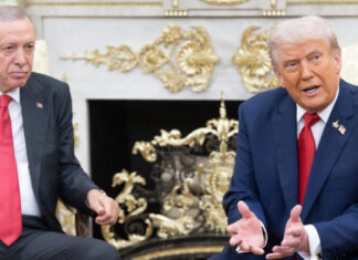 Трамп предложил Эрдогану решающий шаг по прекращению конфликта в Украине