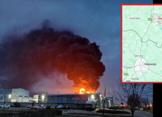 Паника в Белгороде: Массовая эвакуация после шквала беспилотных атак