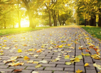 Аномальная жара накроет Украину: синоптики раскрыли неожиданный прогноз погоды