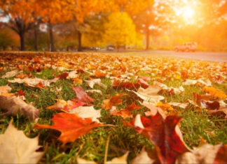 Метеорологический прогноз: когда украинцев ждут первые заморозки и какие сюрпризы готовит октябрь