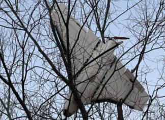 Министр обороны анонсировал масштабное усиление противодронового потенциала Украины