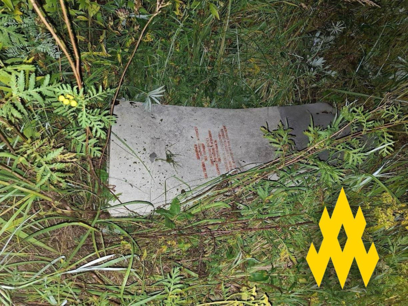 Тайная организация украинцев и партизаны подорвали жд к Смоленскому авиационному заводу &ndash; появилось видео