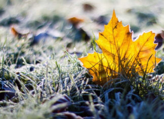 Резкий температурный разворот: синоптики предупредили украинцев о скором похолодании