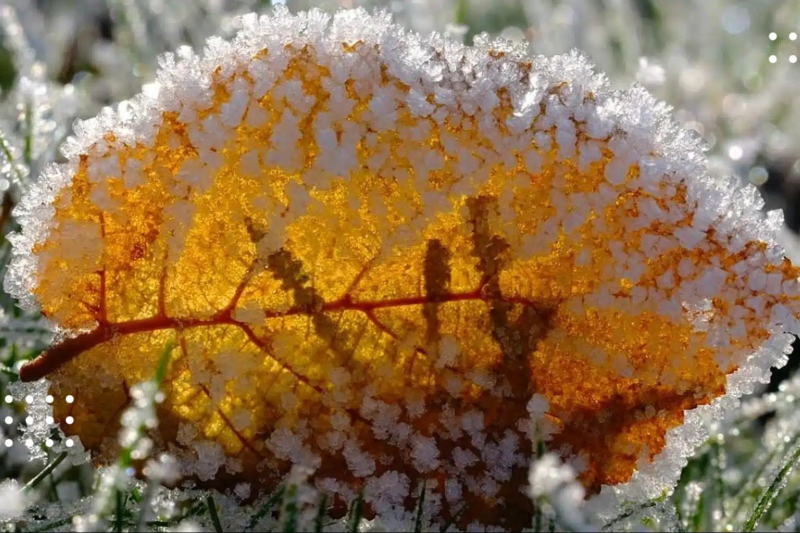 Украину подморозит в ближайшие дни: синоптики назвали области, где ждать "минуsy"