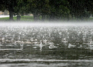 Водный кризис в Донецке: оккупационные власти сделали неожиданную ставку на природу