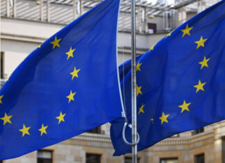 Брюссель указал Таджикистану на нарушение международных обязательств по делу Путина