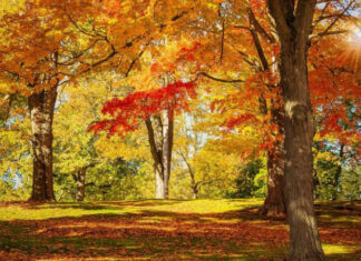 Метеорологи предупредили о резких температурных изменениях в Украине на ближайшую неделю