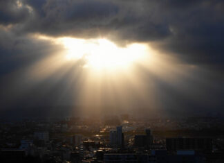 Синоптики предупредили о кратковременном потеплении: где в Украине ожидается солнечный день