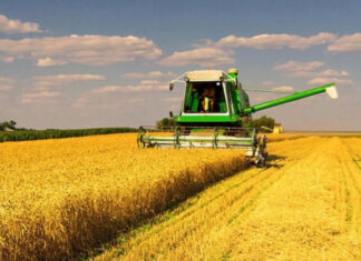 Военные ‘Азова’ задокументировали бесчеловечную охоту оккупантов на мирных жителей Донбасса