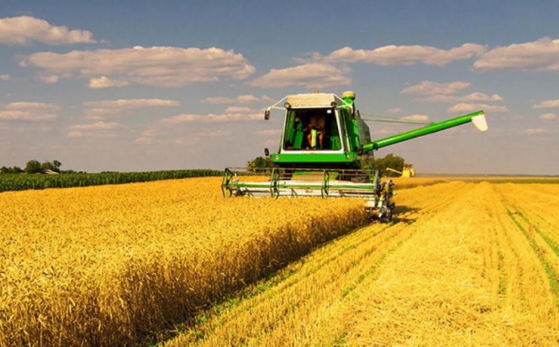 Российские оккупанты устроили "сафари" на фермеров Донетчины – в Сети появилось видео