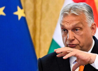 Революция в европолитике: Брюссель готовит радикальную реформу членства в Евросоюзе