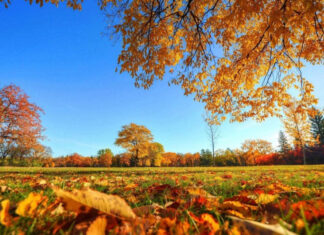 Метеорологи предупредили украинцев о погодных сюрпризах: когда ждать потепления и дождей