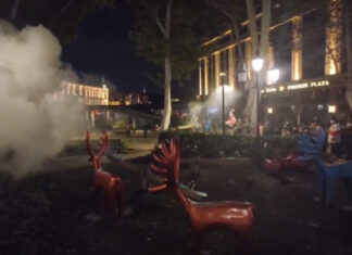 Грузинская столица в огне: Противостояние между оппозицией и властью достигло критической точки