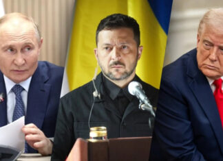 Дипломатический скандал: Трамп раскрыл детали переговоров с Зеленским по украинскому конфликту