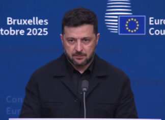 Зеленский раскрыл военный потенциал Украины: стратегические возможности и мирные инициативы