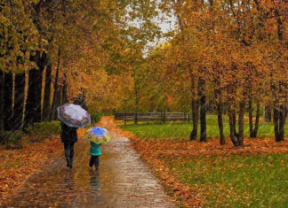 Циклон атакует: Синоптики предупредили украинцев о резких изменениях погоды в пятницу