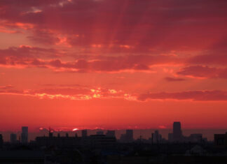 Погодный сюрприз: какие области Украины встретят аномальное тепло в пятницу