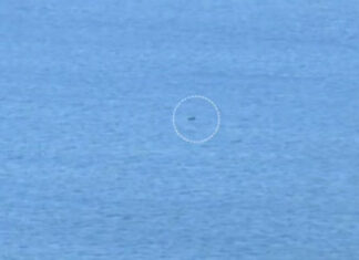 Морской разгром: украинские ВМС ликвидировали беспилотный катер захватчиков