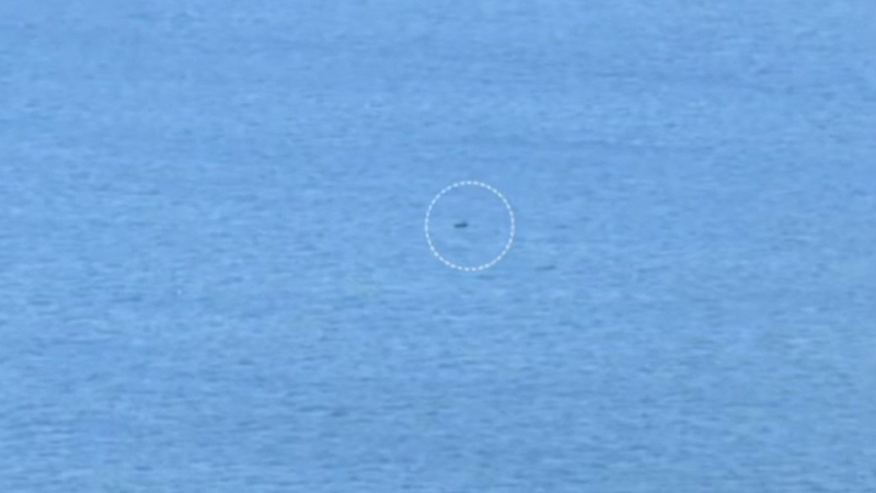 Вспыхнул как спичка: в ВМС Украины показали кадры уничтожения катера армии Путина