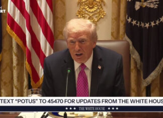 Дипломатический нокаут: Как Зеленский раскрыл несостоятельность путинского мегапроекта