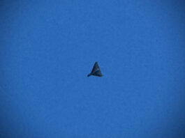 НАТО разворачивает «дроновый щит»: новая система Merops защитит восточные рубежи