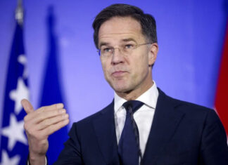 НАТО прогнозирует завершение войны в Украине до конца 2025 года: план Трампа и позиция Рютте