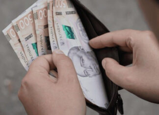 Легальный заработок в Польше: 5 проверенных способов для студентов без ущерба для учебы