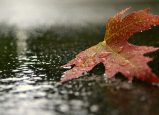 Погодный экстрим: Украину накроют метели, грозы и аномальное тепло в выходные