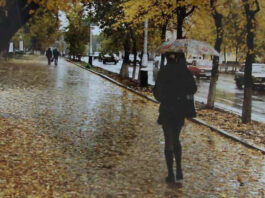 Последний вздох лета: синоптики рассказали о неожиданной погоде в ноябре