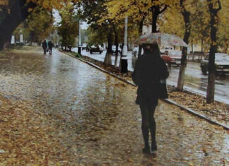 Последний вздох лета: синоптики рассказали о неожиданной погоде в ноябре