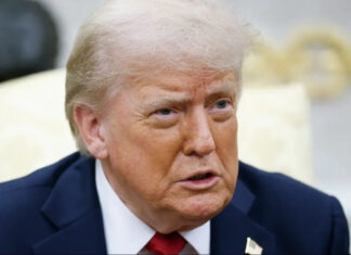 Европа в гневе: План Трампа по российским активам вызвал дипломатический скандал