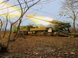 Артиллеристы ССО уничтожили вражеский укрепрайон, лишив противника стратегических позиций под Покровском