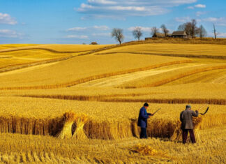 Аномальное тепло атакует: синоптики раскрыли температурный сюрприз для Украины