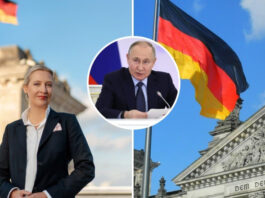 AfD разрывает связи с Россией: как пропутинская партия Германии меняет политический курс