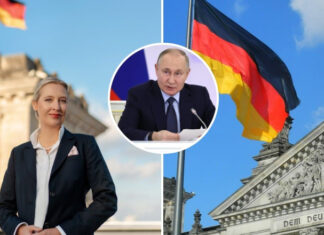 AfD разрывает связи с Россией: как пропутинская партия Германии меняет политический курс