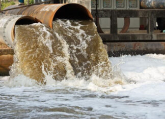 Экологическая катастрофа в Петербурге: Нева под угрозой тотального загрязнения