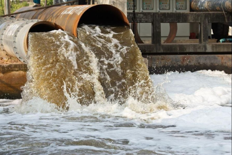 Река Нева под угрозой тотального загрязнения