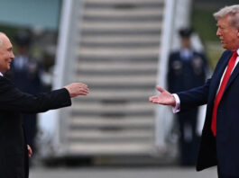 Трамп загнал Украину в тупик: план мира, который выгоден только России