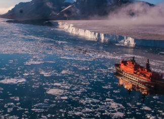 Северный морской путь в тупике: как санкции США обрушили нефтяной экспорт России