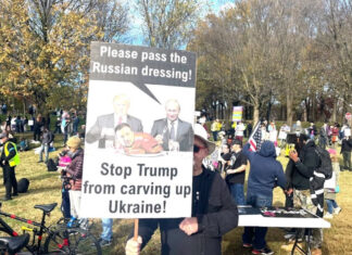 Американцы массово выступили против «капитуляции» Украины: Протесты охватили десятки городов США