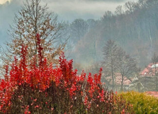 Аномальное тепло в декабре: синоптик раскрыла неожиданный прогноз для Украины